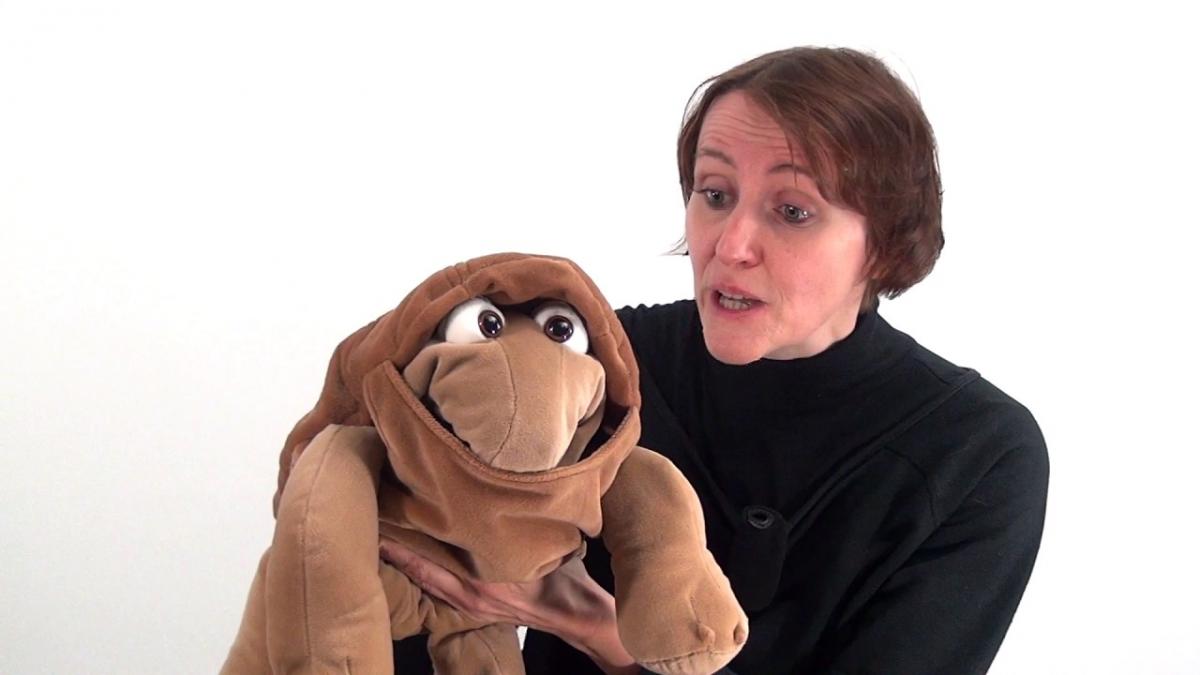 Maňuška korytnačka Samy