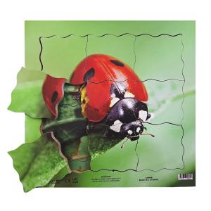Dřevěné 3D puzzle - Cyklus berušky