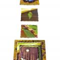  Dřevěné 3D puzzle - Cyklus motýla