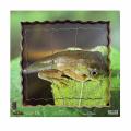 Dřevěné 3D puzzle - Cyklus žáby