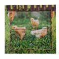 Dřevěné 3D puzzle - Cyklus slepice