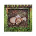 Dřevěné 3D puzzle - Cyklus slepice